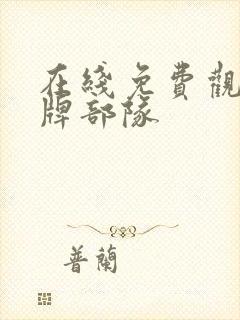 在线免费观看王牌部队