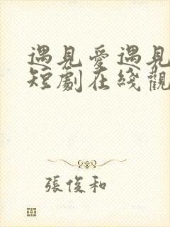 遇见爱遇见幸福短剧在线观看