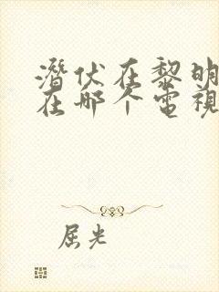 潜伏在黎明之前在哪个电视台播放