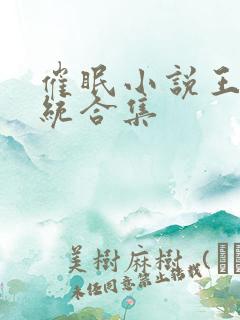 催眠小说王鹏系统合集