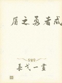 盾之勇者成名录