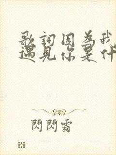 歌词因为我刚好遇见你是什么歌