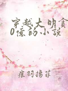 穿越大明贪了80亿的小说