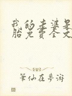 我的老婆是双胞胎免费全文阅读