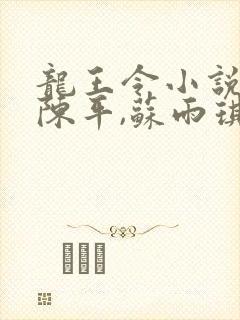 龙王令小说主角陈平,苏雨琪