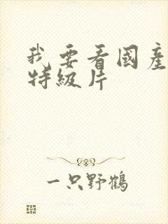 我要看国产黄色特级片