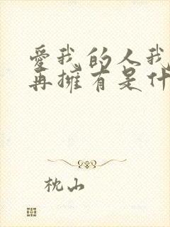 爱我的人我已不再拥有是什么歌