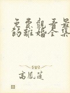 免费观看最完美的离婚全集