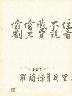 偷偷藏不住电视剧免费观看免费