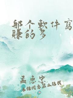 那个软件写小说赚的多