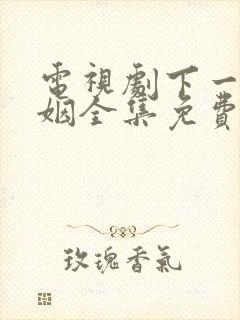 电视剧下一站婚姻全集免费播放