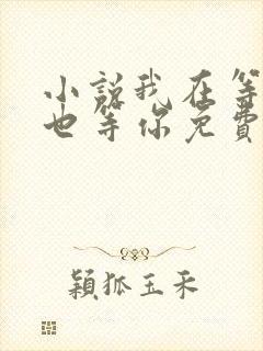 小说我在等风,也等你免费阅读