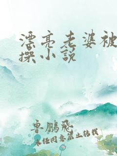 漂亮老婆被别人操小说