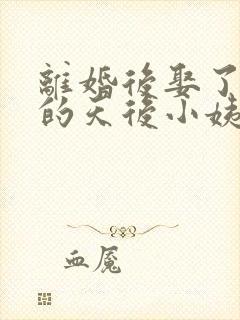 离婚后娶了前妻的天后小姨小说