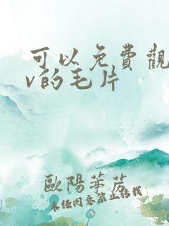 可以免费观看av的毛片