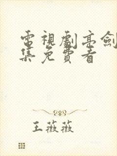 电视剧亮剑40集免费看