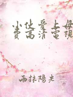 小伙爱上母亲免费高清电视剧第5集