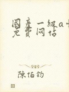 国产一级a爱片免费网站