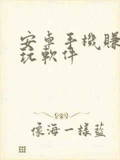 安卓手机赚钱试玩软件