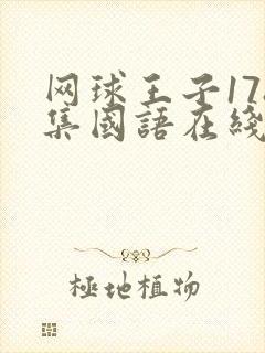 网球王子178集国语在线观看