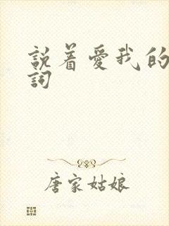 说着爱我的话歌词