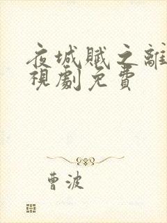 夜城赋之离生电视剧免费