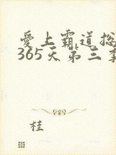 爱上霸道总裁的365天第三季