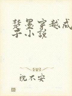 楚墨穿越成傻太子小说