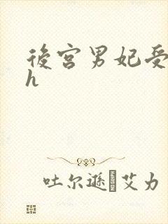 后宫男妃受刑高h