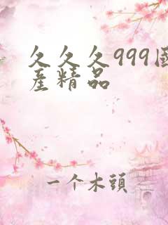 久久久999国产精品