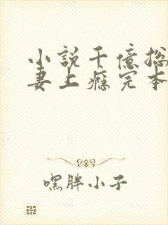 小说千亿总裁宠妻上瘾完本