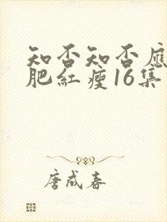 知否知否应是绿肥红瘦16集