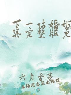 下一站婚姻34集完整版免费