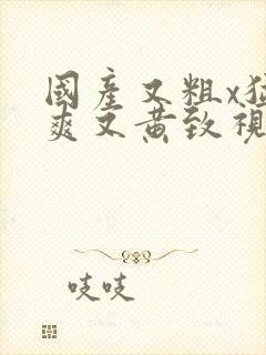 国产又粗x猛又爽又黄致视频