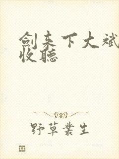 剑来下大斌免费收听