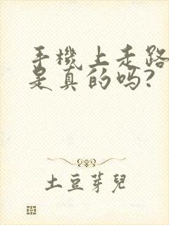 手机上走路赚钱是真的吗?