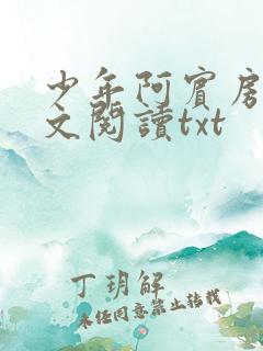 少年阿宾房东全文阅读txt