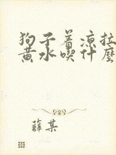 狗子着凉拉稀吐黄水吃什么药