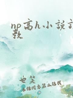 np高h小说调教