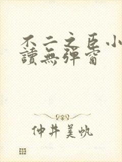 不二之臣小说阅读无弹窗