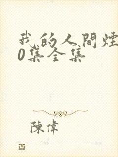 我的人间烟火40集全集