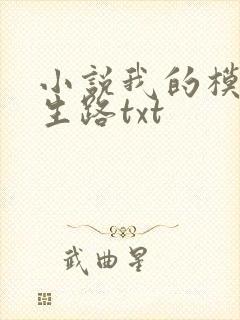 小说我的模拟长生路txt