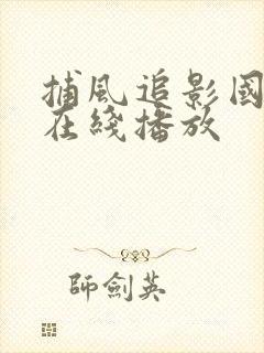 捕风追影国语版在线播放