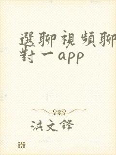 选聊视频聊天一对一app