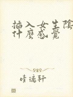 插入女生阴道是什么感觉