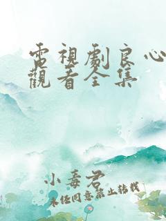 电视剧良心免费观看全集