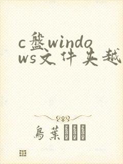 c盘windows文件夹越来越大