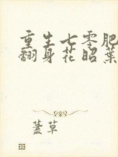 重生七零肥妻要翻身花昭叶深