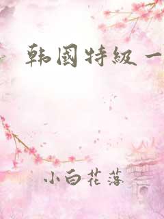 韩国特级一级片