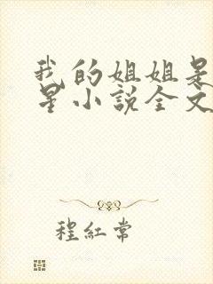 我的姐姐是大明星小说全文阅读